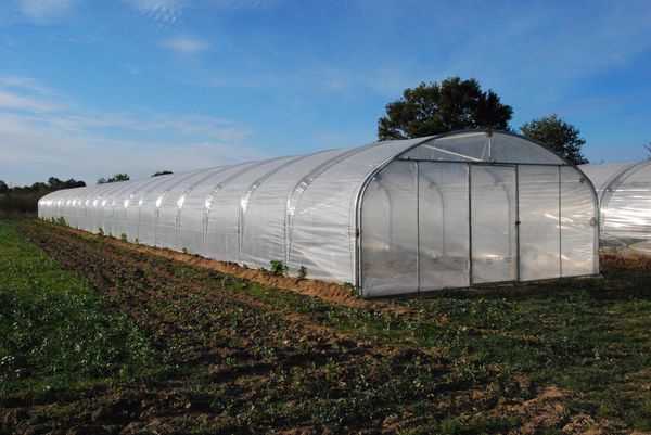 Tunnel pieds droits 6m 3