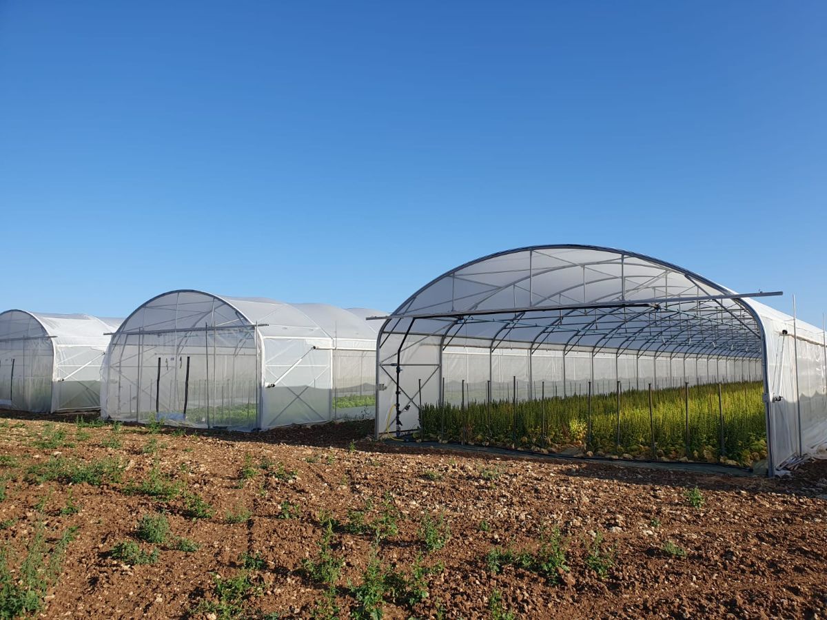 FILET D'OMBRAGE SERRE PROFESSIONNELLE (1)