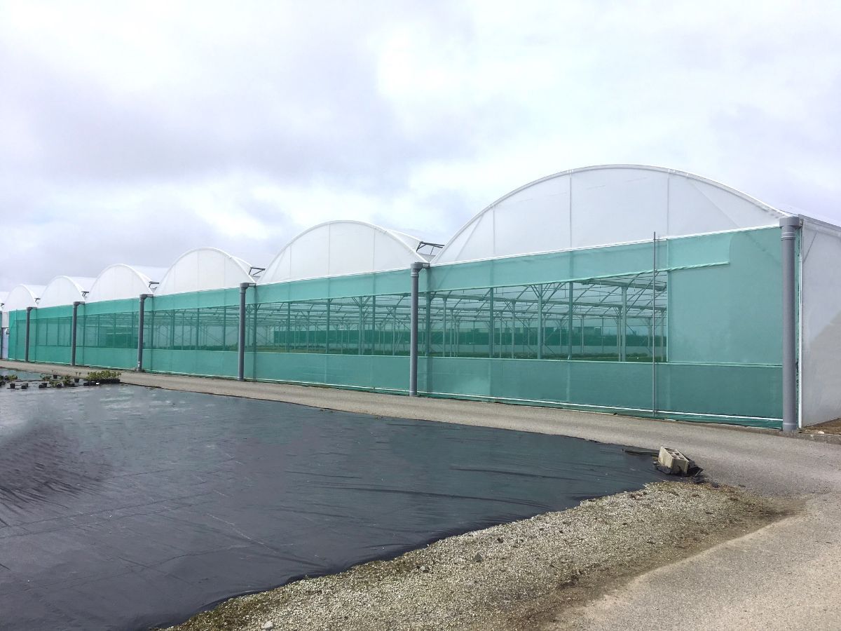 FILET D'OMBRAGE SERRE PROFESSIONNELLE (3).JPG