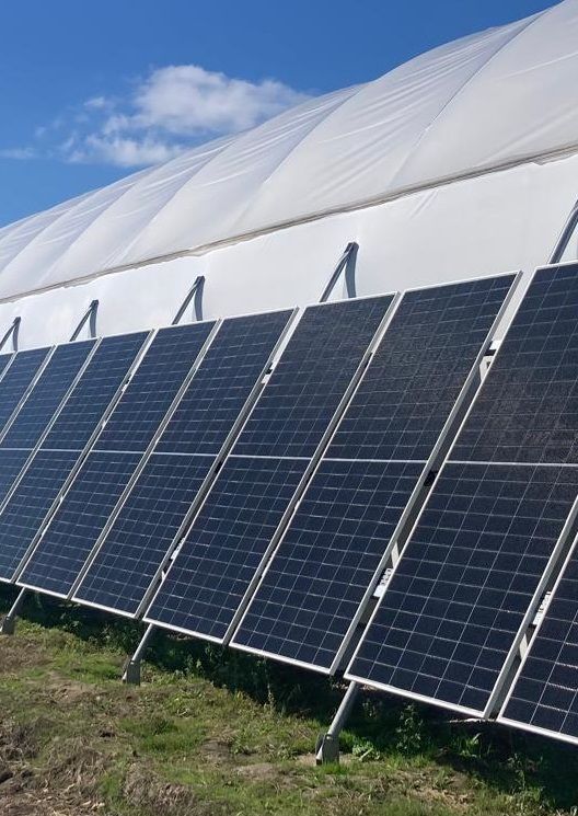 SEGA GMN GALLON SG4 SG5 OMBRELEC (1)