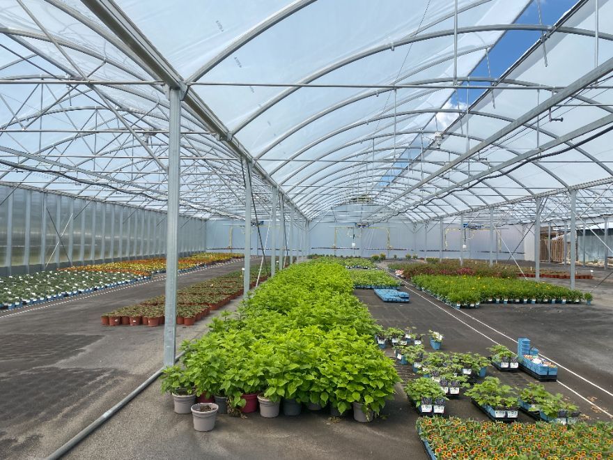 SERRE 1000 m² (2).JPG