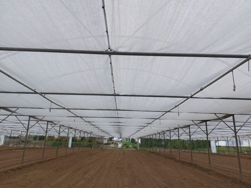 serre 500m² (1)