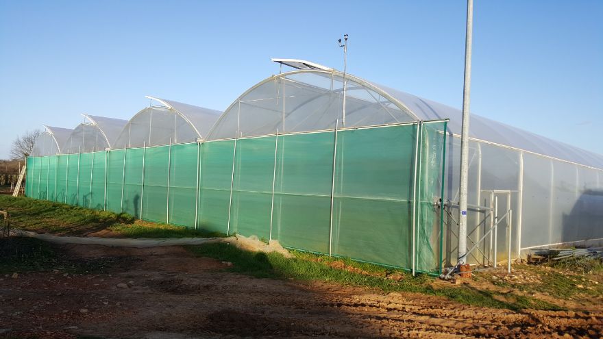 SERRE A TOMATE PROFESSIONNELLE (4)