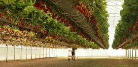 BI-ATL 9.60m fraises hors sol 1