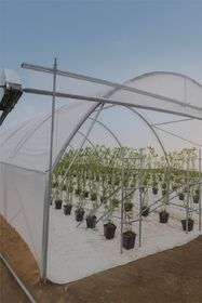 MULTI 6M20 FRUITS ROUGES3