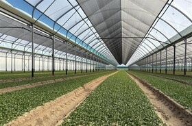 OMBRAGE INTERIEUR SERRE PROFESSIONNELLE
