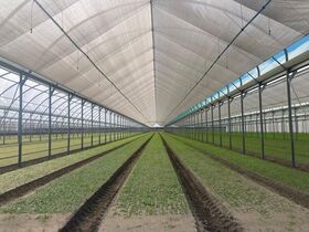 OMBRAGE PAR ENROULEMENT