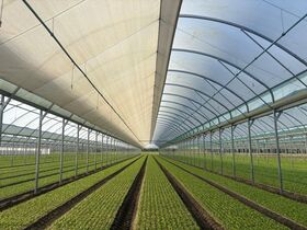 OMBRAGE PAR ENROULEMENT2