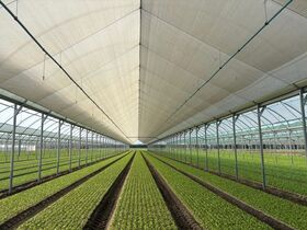 OMBRAGE PAR ENROULEMENT3