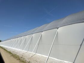 OMBRECO 5