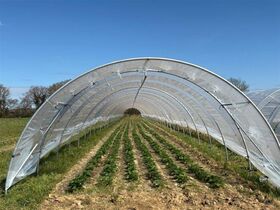 SERRE FRAISE TUNNEL 5M--