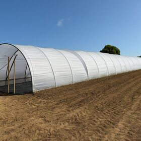 SERRE FRAISE TUNNEL 5M