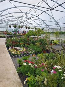 SERRE HORTICOLE MULTITUNNEL
