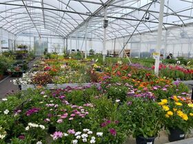 SERRE HORTICOLE