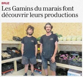 SERRE MARAICHERE BRETAGNE