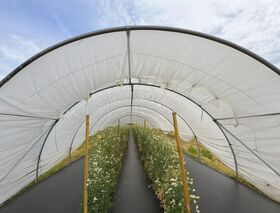 SERRE PEPI TUNNEL 5M