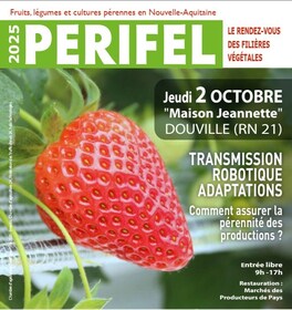 serres professionnelles