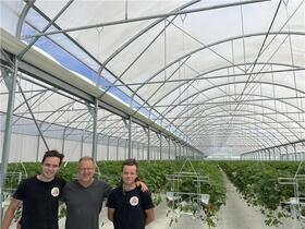 TEMOIGNAGE SERRE FRAISE (2)